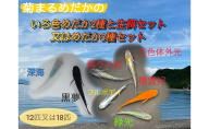 菊まるめだかの【いろ色めだか2種と生餌セット又はめだか3種セット】計12匹又は18匹 メダカ 幼魚～若魚 1.5～2.0cm ミジンコ ゾウリムシ