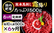 【6ヶ月定期便】熊本馬刺し 霜降りたっぷり500g 50g×10パック 専用醤油付き 霜降り 中トロ お取り寄せ