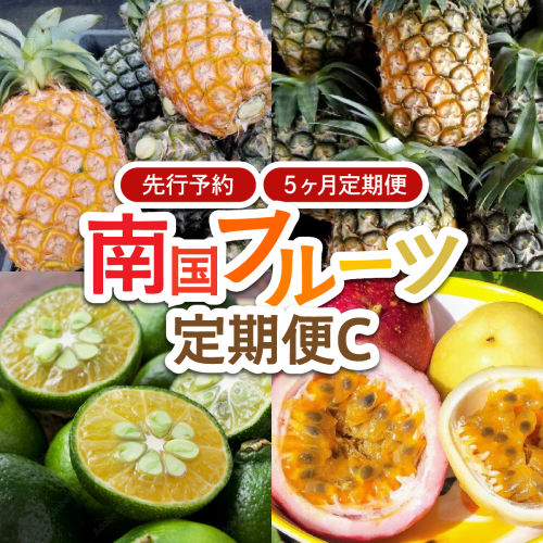 2026年 先行予約 定期便 5ヶ月 南国フルーツ 定期便C パイン シークヮーサー パッションフルーツ 計4種類 果物 フルーツ 5回 お楽しみ 1548798 - 沖縄県竹富町