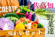 【ふるさと納税】高知県香美市の新鮮野菜BOX(お試し便）