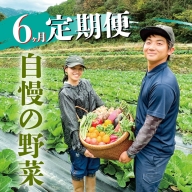 【ふるさと納税】定期便・偶数月にお届け(6カ月便）　高知県香美市の新鮮野菜BOX