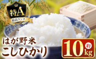 [令和7年新米]最高評価「特A」を何度も獲得!はが野米 こしひかり 10kg | 国産 ごはん 保存食 備蓄 新生活 こしひかり お 米 こめ おにぎり おむすび ごはん ご飯 真岡産 コシヒカリ 白米 真岡市 栃木県 送料無料