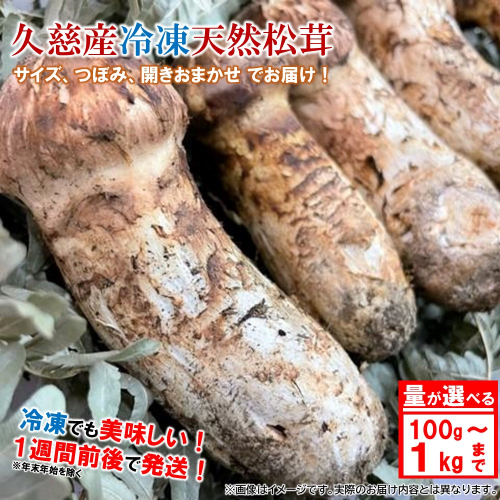 「内容量が選べる！」久慈産【冷凍】天然松茸「サイズ、つぼみ、開きおまかせ」100ｇ～１kg 1549015 - 岩手県久慈市