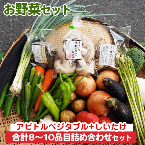 お野菜セット アビトルベジタブル+しいたけ 合計8～10品目詰め合わせセット 季節の野菜 旬の野菜 やさい 新鮮 産地直送 きのこ キノコ 産直 国産 京都 京都産 ※北海道・沖縄・離島への配送不可 1549184 - 京都府亀岡市