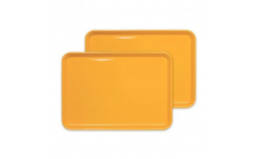 カラフルピノトレー M 33cmイエロー 2枚組 タツクラフト 【Tk44】 1549190 - 和歌山県那智勝浦町