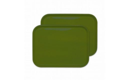 カラフルピノトレー L 39cm ティーグリーン 2枚組 タツクラフト 【Tk62】 1549205 - 和歌山県那智勝浦町