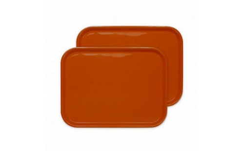 カラフルピノトレー L 39cm マンダリンオレンジ 2枚組 タツクラフト 【Tk63】 1549206 - 和歌山県那智勝浦町