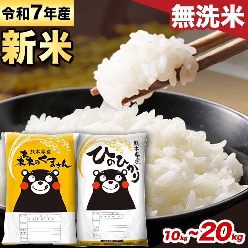 新米 米 令和7年産 無洗米 ひのひかり 森のくまさん 2種 食べ比べ 米 選べる 内容量 計10kg 計20kg 《12月中旬-2月末頃出荷》 ヒノヒカリ お米 こめ 熊本県産 精米 森くま ブランド米 ご飯 選べる 1549497 - 熊本県御船町