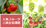 【令和7年産先行予約】 《定期便3回》 人気フルーツ三銃士定期便 『フードシステムズ』 山形県 南陽市 [2261-R7]