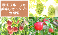 【令和7年産先行予約】 《定期便3回》 秋冬フルーツの美味しさトップ3定期便 『フードシステムズ』 山形県 南陽市 [2263-R7]