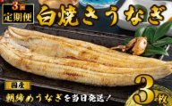 国産うなぎ 白焼き ３枚 1尾約120g 定期便3回 うなぎ 鰻 白焼き 蒲焼 うな重 鰻丼 うな丼 ひつまぶし 土用の丑の日 土用丑 魚 海鮮 魚介類 肉 肝 レバー 冷蔵 おつまみ おかず 惣菜 酒 ビール 焼酎 日本酒 ウイスキー チューハイ お取り寄せ ギフト プレゼント 贈答 贈答用 贈り物 内祝い お中元 お歳暮 母の日 父の日 敬老の日 千葉県 銚子市 有限会社石毛川魚店