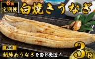 国産うなぎ 白焼き ３枚 1尾約120g 定期便6回 うなぎ 鰻 白焼き 蒲焼 うな重 鰻丼 うな丼 ひつまぶし 土用の丑の日 土用丑 魚 海鮮 魚介類 肉 肝 レバー 冷蔵 おつまみ おかず 惣菜 酒 ビール 焼酎 日本酒 ウイスキー チューハイ お取り寄せ ギフト プレゼント 贈答 贈答用 贈り物 内祝い お中元 お歳暮 母の日 父の日 敬老の日 千葉県 銚子市 有限会社石毛川魚店