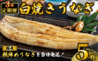 国産うなぎ 白焼き 5枚 1尾約120g 定期便3回 うなぎ 鰻 白焼き 蒲焼 うな重 鰻丼 うな丼 ひつまぶし 土用の丑の日 土用丑 魚 海鮮 魚介類 肉 肝 レバー 冷蔵 おつまみ おかず 惣菜 酒 ビール 焼酎 日本酒 ウイスキー チューハイ お取り寄せ ギフト プレゼント 贈答 贈答用 贈り物 内祝い お中元 お歳暮 母の日 父の日 敬老の日 千葉県 銚子市 有限会社石毛川魚店