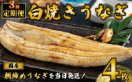 国産うなぎ 白焼き 4枚 1尾約120g 定期便3回 うなぎ 鰻 白焼き 蒲焼 うな重 鰻丼 うな丼 ひつまぶし 土用の丑の日 土用丑 魚 海鮮 魚介類 肉 肝 レバー 冷蔵 おつまみ おかず 惣菜 酒 ビール 焼酎 日本酒 ウイスキー チューハイ お取り寄せ ギフト プレゼント 贈答 贈答用 贈り物 内祝い お中元 お歳暮 母の日 父の日 敬老の日 千葉県 銚子市 有限会社石毛川魚店