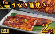 国産うなぎ蒲焼き タレ・山椒付き 2枚 1枚約100g 定期便6回  うなぎ 鰻 蒲焼 うな重 鰻丼 うな丼 ひつまぶし 土用の丑の日 土用丑 魚 海鮮 魚介類 肉 冷凍 真空パック 個包装 小分け おつまみ おかず 惣菜 ビール 酒 焼酎 日本酒 ウイスキー  お取り寄せ ギフト プレゼント 贈答 贈答用 贈り物  お中元 お歳暮 母の日 父の日 敬老の日 千葉県 銚子市 有限会社石毛川魚店