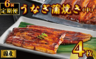 国産うなぎ蒲焼き タレ・山椒付き 4枚 1枚約100g 定期便6回  うなぎ 鰻 蒲焼 うな重 鰻丼 うな丼 ひつまぶし 土用の丑の日 土用丑 魚 海鮮 魚介類 肉 冷凍 真空パック 個包装 小分け おつまみ おかず 惣菜 ビール 酒 焼酎 日本酒 ウイスキー  お取り寄せ ギフト プレゼント 贈答 贈答用 贈り物  お中元 お歳暮 母の日 父の日 敬老の日 千葉県 銚子市 有限会社石毛川魚店