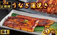 国産うなぎ蒲焼き タレ・山椒付き 5枚1枚約100g 定期便3回  うなぎ 鰻 蒲焼 うな重 鰻丼 うな丼 ひつまぶし 土用の丑の日 土用丑 魚 海鮮 魚介類 肉 冷凍 真空パック 個包装 小分け おつまみ おかず 惣菜 ビール 酒 焼酎 日本酒 ウイスキー  お取り寄せ ギフト プレゼント 贈答 贈答用 贈り物  お中元 お歳暮 母の日 父の日 敬老の日 千葉県 銚子市 有限会社石毛川魚店