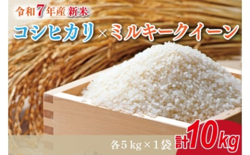 【2025年9月中旬より順次発送】★新米★R7年産 コシヒカリ 5kg+ミルキークイーン 5kg｜米 お米 白米 精米 新米 R7年産 令和7年産 コシヒカリ こしひかり ミルキークイーン 食べ比べ 数量限定 茨城県 茨城県産 行方市(HA-21)