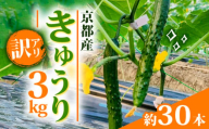 訳あり きゅうり 3kg わけあり 京都府 野菜 サラダ おつまみ 夏 漬物 ボリューム ファミリー 料理 キュウリ 30本