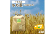 ＜毎月定期便＞食物繊維たっぷりの「もち麦」(きはだもち) 4kg 千葉県横芝光町産全6回【4056807】