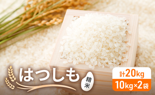 令和6年産 低農薬 清流育ち はつしも 精米 10kg×2袋 計20kg 新米 お米 精白米 白米 米 ごはん 米 ご飯 ハツシモ あっさり ブランド米 大粒 幻の米 お取り寄せ 自家用 贈答用 贈り物 御礼 産地直送 送料無料 美濃グリーン 岐阜県 美濃市 1550628 - 岐阜県美濃市