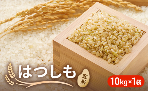 令和6年産 低農薬 清流育ち はつしも玄米 10kg×1袋 新米 お米 米 ごはん ご飯 ハツシモ あっさり ふっくら ブランド米 大粒 幻の米 お取り寄せ 自家用 贈答用 贈り物 御礼 プレゼント 産地直送 産直 送料無料 美濃グリーン 岐阜県 美濃市 1550629 - 岐阜県美濃市