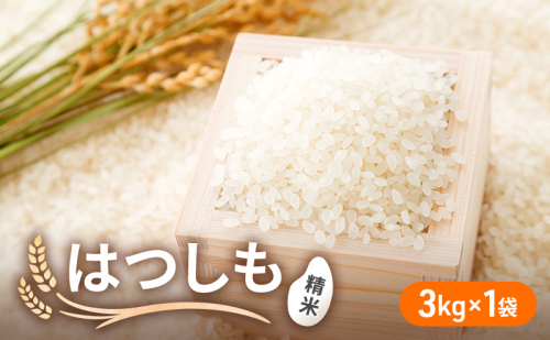 令和6年産 低農薬 清流育ち はつしも 精米 3kg×1袋 新米 お米 精白米 白米 米 ごはん 米 ご飯 ハツシモ あっさり ふっくら ブランド米 大粒 幻の米 お取り寄せ 自家用 贈答用 贈り物 御礼 産地直送 送料無料 美濃グリーン 岐阜県 美濃市 1550630 - 岐阜県美濃市