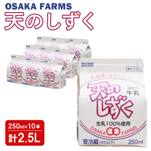 天のしずく 250ml × 10本 計 2.5L【51005】 1550690 - 北海道中標津町