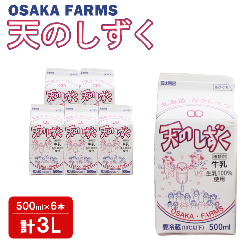 天のしずく 500ml × 6本 計 3L【51006】 1550691 - 北海道中標津町