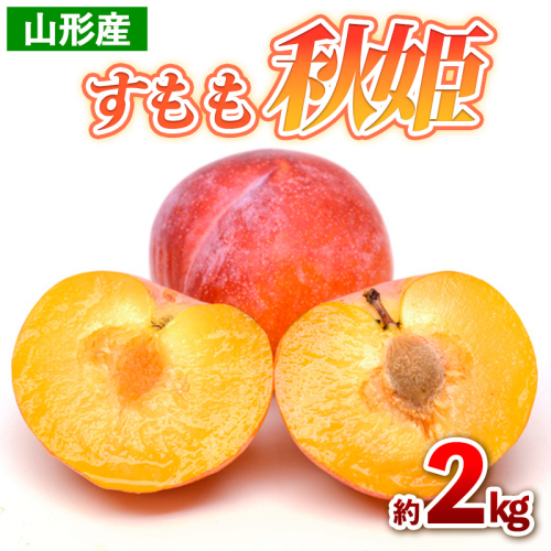 山形産 すもも 秋姫 約2kg(16～24玉) 【令和7年産先行予約】FS24-705 1550696 - 山形県山形市