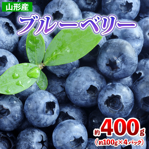 山形産 ブルーベリー 約400g(約100g×4パック) 【令和7年産先行予約】FS24-787 1550894 - 山形県山形市