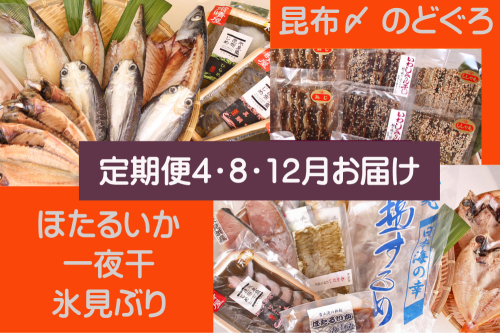 【年3回定期便】氷見の味を食べつくす！＜氷見鰤・昆布〆刺身・蛍いか・のどぐろ入＞  富山県 氷見市 干物 詰め合わせ 魚介類 1550903 - 富山県氷見市