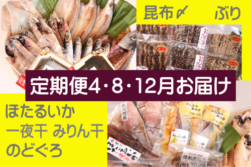 【年3回定期便】氷見堀与季節の干物・海産物 ＜氷見ぶり、昆布〆刺身、蛍いか、のどぐろ入＞ 富山県 氷見市 干物 詰め合わせ 魚介類 1550904 - 富山県氷見市