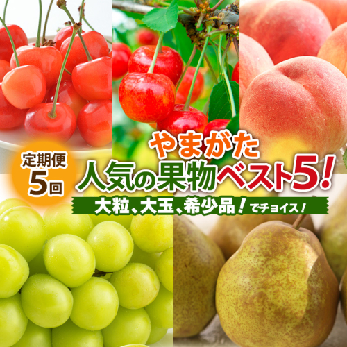 【定期便5回】やまがた人気の果物ベスト5！大粒、大玉、希少品！でチョイス！ 【令和7年産先行予約】FS24-782 1550948 - 山形県山形市