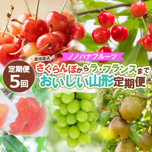 【定期便5回】ノノハナフルーツさくらんぼからラ・フランスまで 【産地直送】 おいしい山形定期便 【令和8年産先行予約】FS24-717 1550998 - 山形県山形市