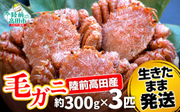 三陸で獲れた「毛ガニ」を生きたまま梱包して鮮度抜群のまま発送いたします。日本で北海道に次ぐ毛ガニの産地である岩手県の毛ガニは「三陸毛ガニ」と呼ばれています。親潮と黒潮がぶつかる三陸の海は毛ガニのエサと