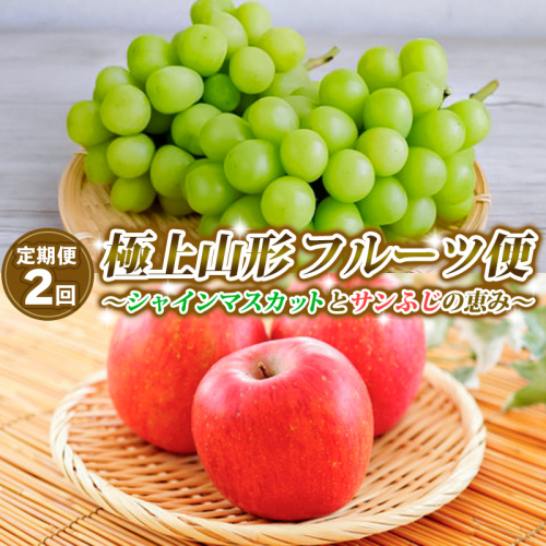 【定期便2回】極上山形フルーツ便～シャインマスカットとサンふじの恵み～ 【令和7年産先行予約】FS24-747 1551030 - 山形県山形市