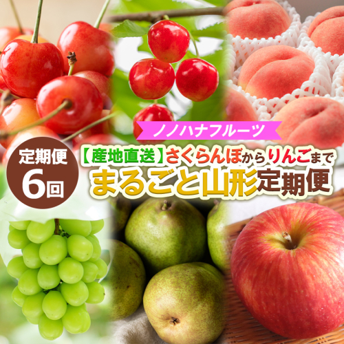 【定期便6回】ノノハナフルーツ さくらんぼからりんごまで 【産地直送】 まるごと山形定期便 【令和7年産先行予約】FS24-719 1551032 - 山形県山形市