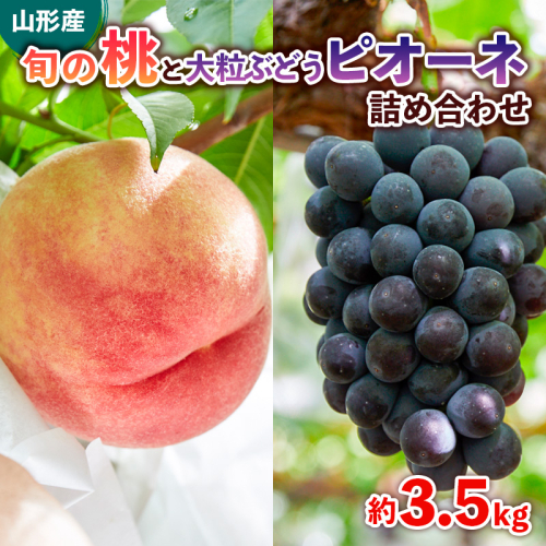 旬の桃と大粒ぶどうピオーネ 詰め合わせ 約3.5kg【令和8年産先行予約】FS24-764 1551035 - 山形県山形市