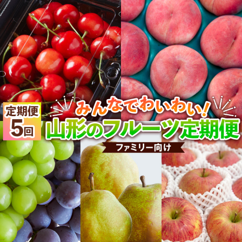 【定期便5回】★ファミリー向け★みんなでわいわい！山形のフルーツ定期便 【令和7年産先行予約】FS24-766 1551044 - 山形県山形市