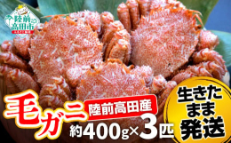三陸で獲れた「毛ガニ」を生きたまま梱包して鮮度抜群のまま発送いたします。日本で北海道に次ぐ毛ガニの産地である岩手県の毛ガニは「三陸毛ガニ」と呼ばれています。親潮と黒潮がぶつかる三陸の海は毛ガニのエサと