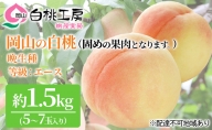 桃茂実苑 岡山 白桃（晩生種）等級：エース 約1.5kg 5～7玉