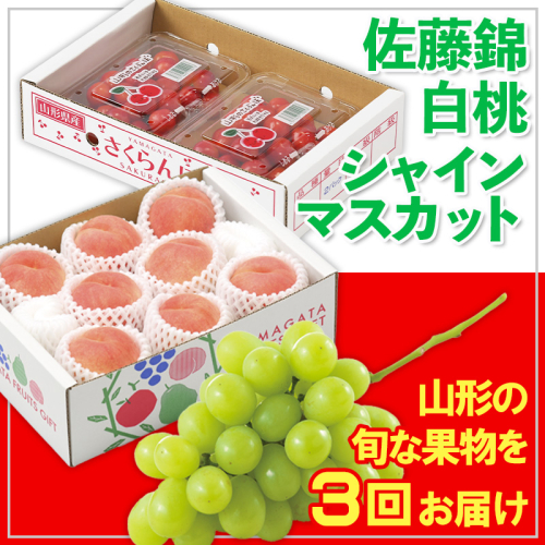 【定期便3回】☆フルーツ王国山形☆佐藤錦・白桃・シャインマスカット 【令和8年産先行予約】FS25-673 1551257 - 山形県山形市