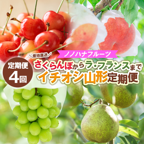 【定期便4回】ノノハナフルーツ さくらんぼからラ・フランスまで 【産地直送】イチオシ山形定期便 【令和8年産先行予約】FS25-592 1551260 - 山形県山形市