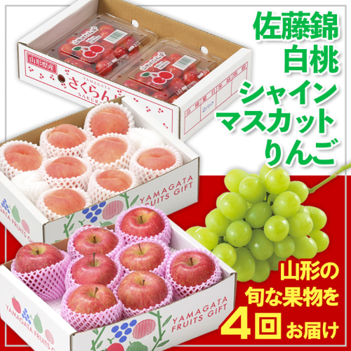 【定期便4回】☆フルーツ王国山形☆佐藤錦・白桃・シャインマスカット・りんご 【令和8年産先行予約】FS25-674 1551263 - 山形県山形市