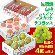 【定期便4回】☆フルーツ王国山形☆佐藤錦・白桃・シャインマスカット・ラフランス 【令和8年産先行予約】FS25-675