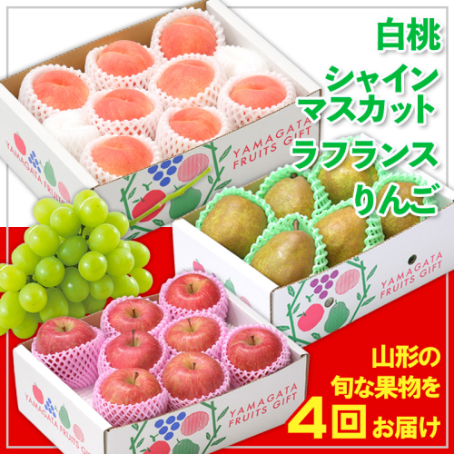 【定期便4回】☆フルーツ王国山形☆白桃・シャインマスカット・ラフランス・りんご 【令和8年産先行予約】FS24-773 1551341 - 山形県山形市