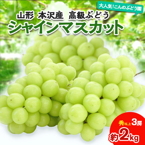 大人気！【こんのぶどう園】山形本沢産 高級ぶどう シャインマスカット 3房【令和8年産先行予約】FS25-721  1551345 - 山形県山形市