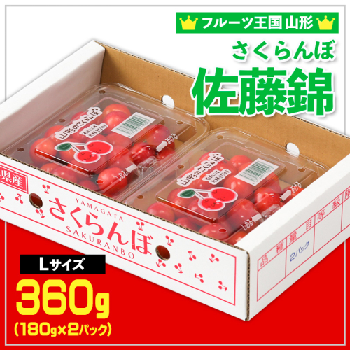 ☆フルーツ王国山形☆さくらんぼ 佐藤錦 Lサイズ 360g(180g×2パック) 【令和8年産先行予約】FS25-558 1551348 - 山形県山形市