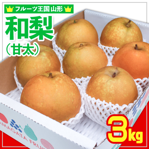 ☆フルーツ王国山形☆和梨 (甘太) 秀品 3kg 【令和7年産先行予約】FS24-776 1551349 - 山形県山形市